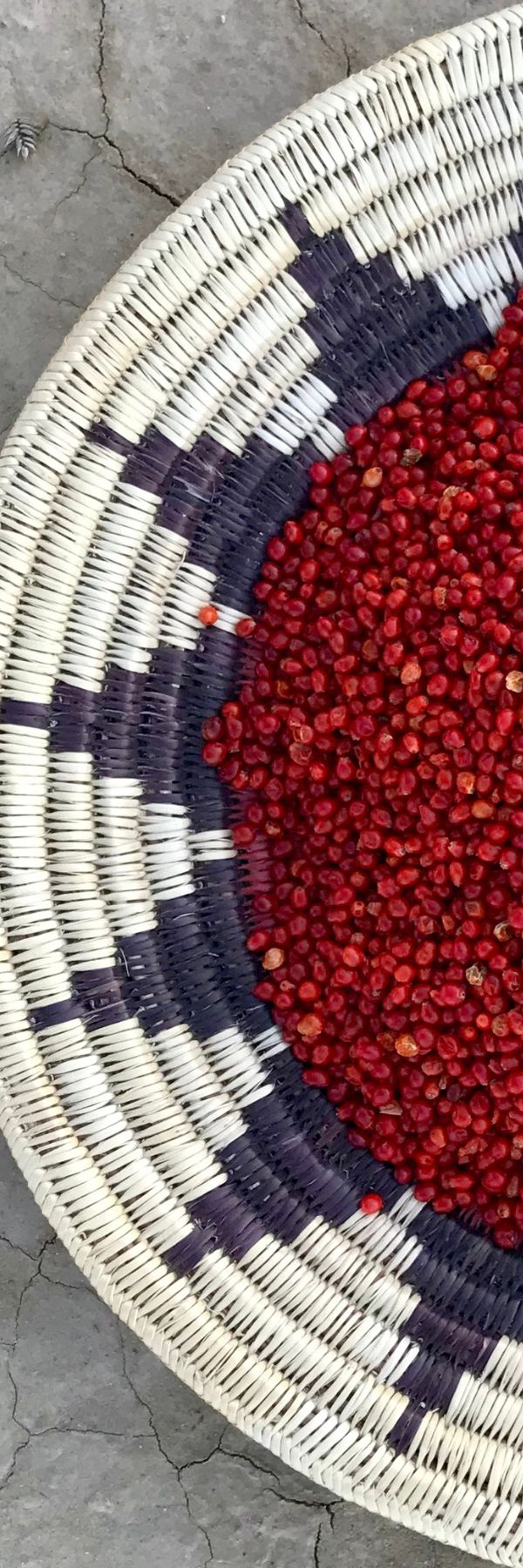 Holographic Navajo Basket Sumac