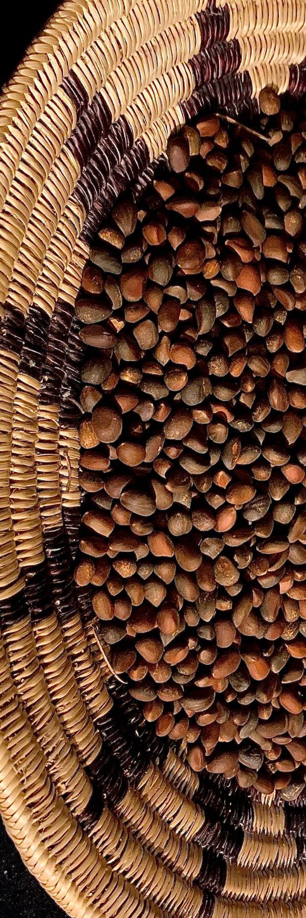 Holographic Navajo Basket Pinon