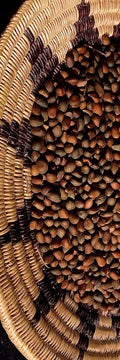 Holographic Navajo Basket Pinon