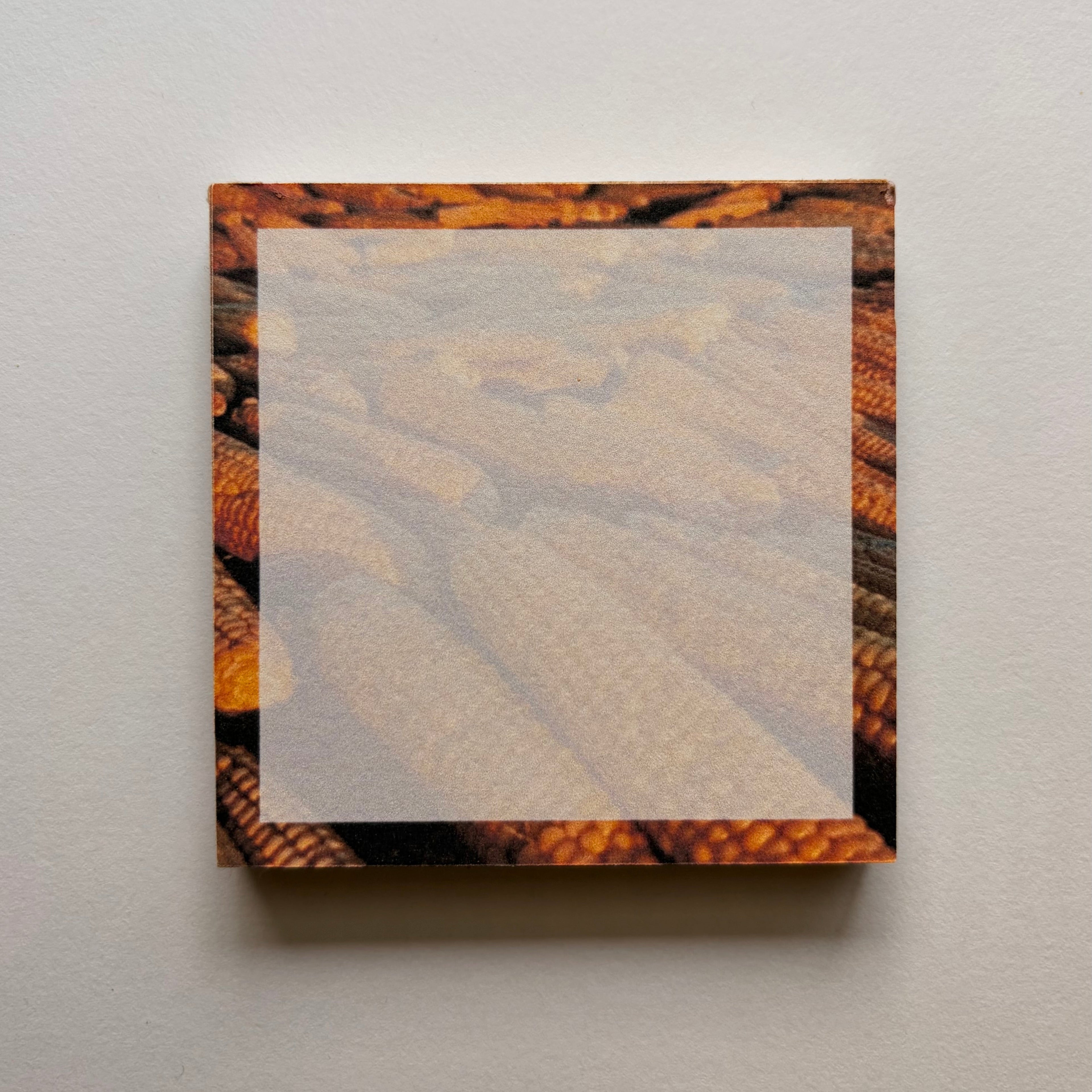 Steamed Corn 3x3”
