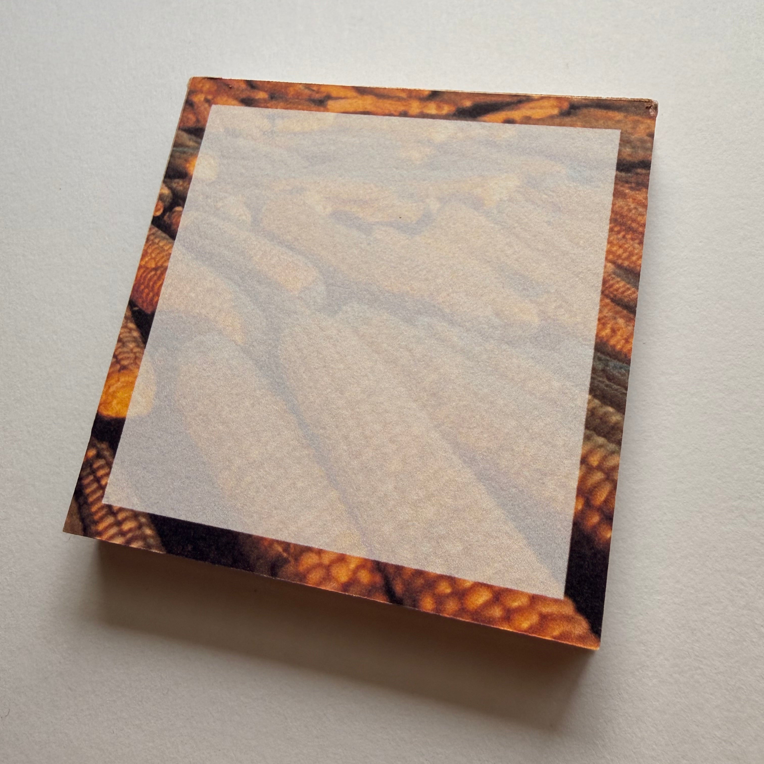 Steamed Corn 3x3”