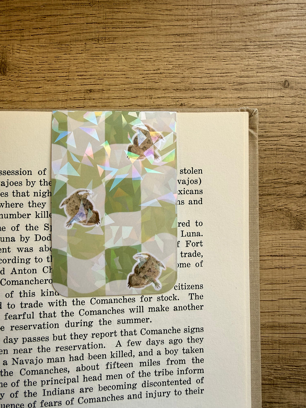Holographic Magnetic Cheii Book marker