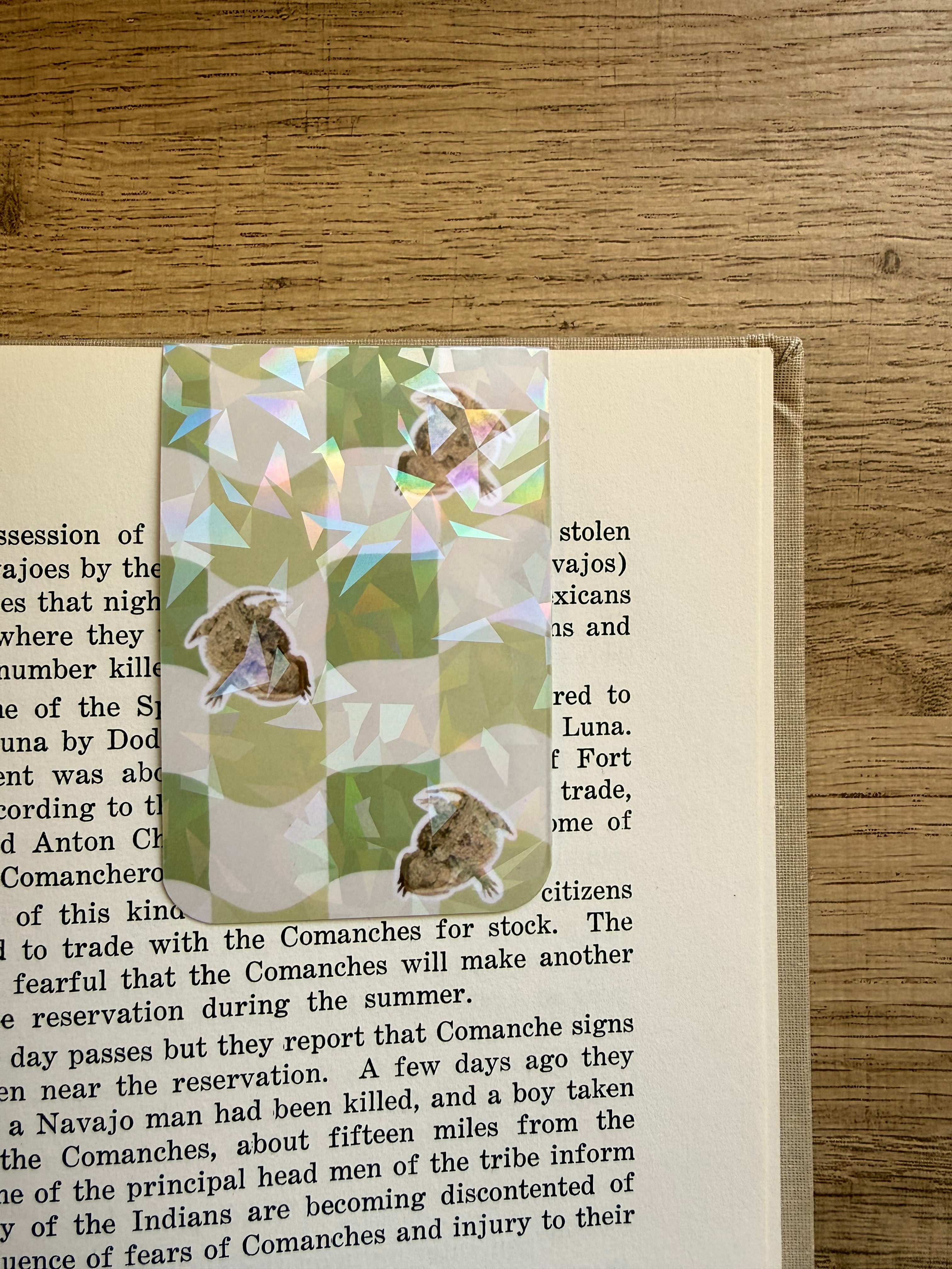 Holographic Magnetic Cheii Book marker