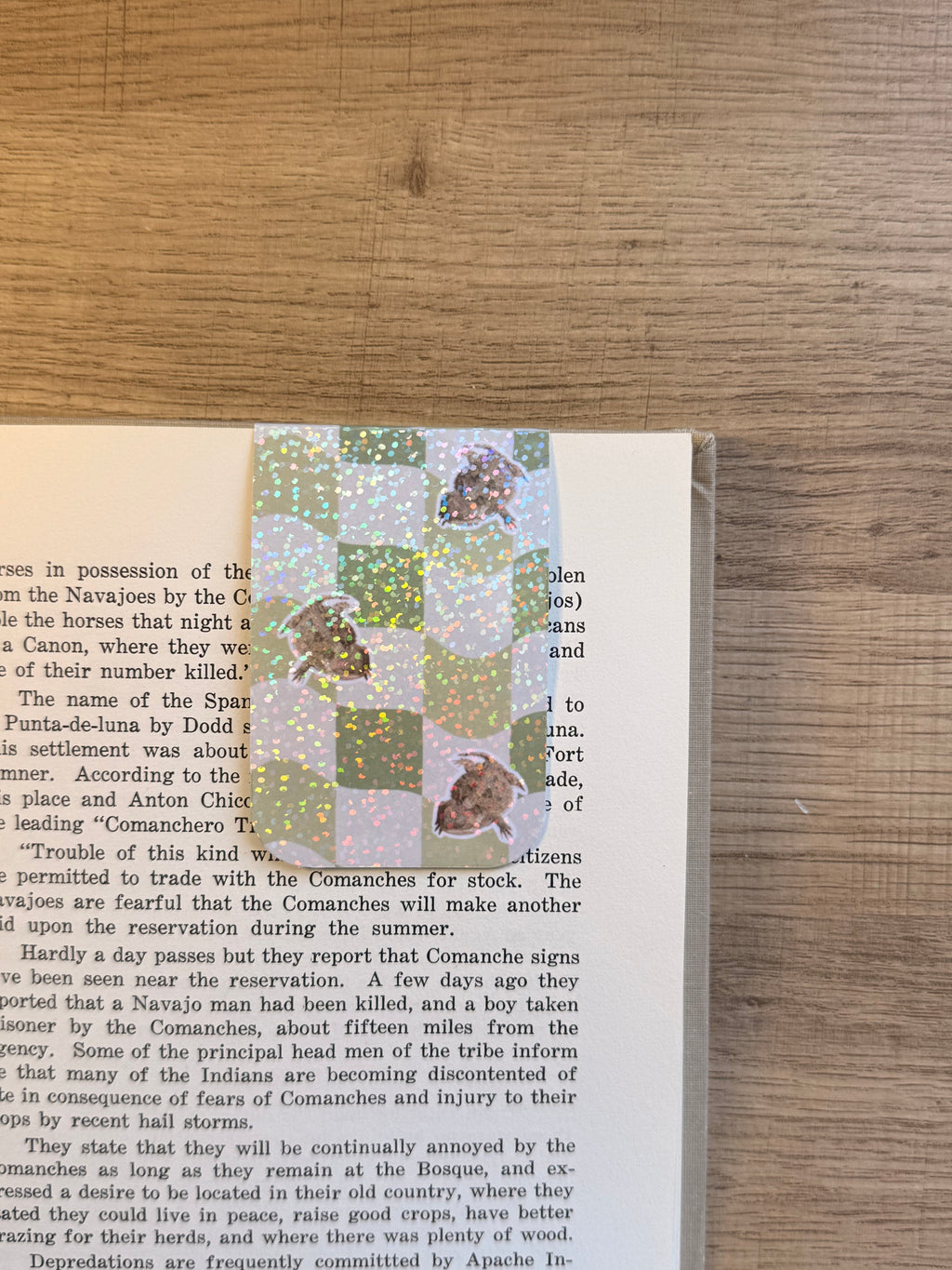 Holographic Magnetic Cheii Book marker
