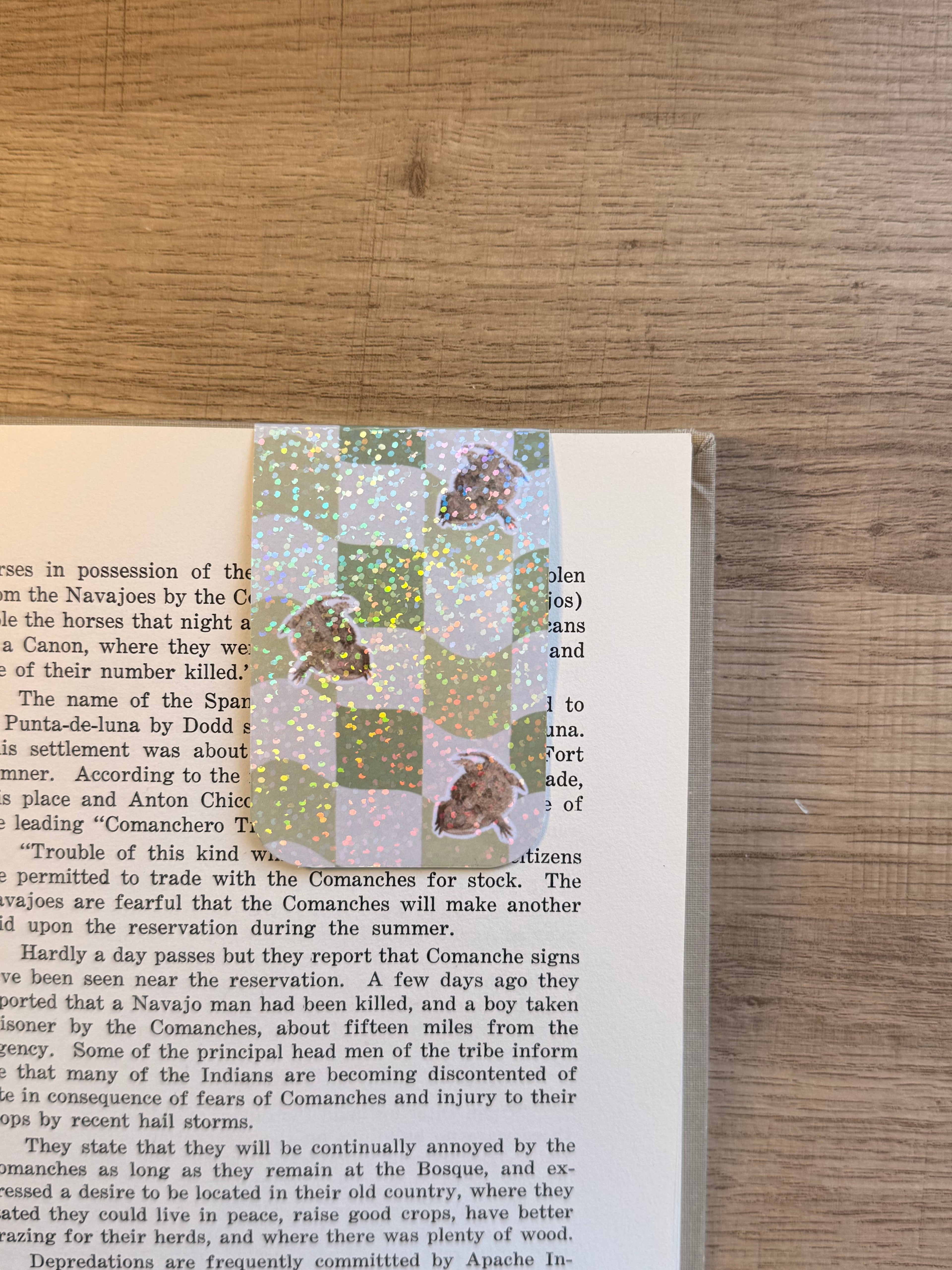 Holographic Magnetic Cheii Book marker